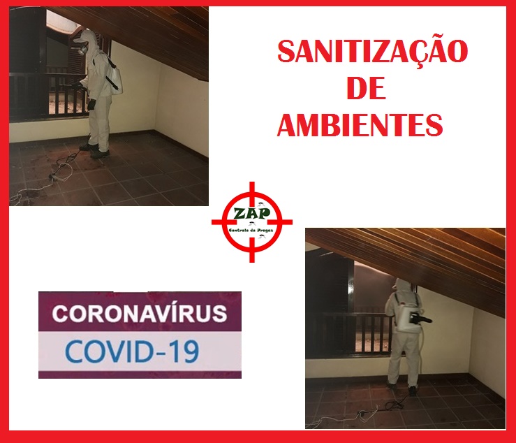 Sanitização